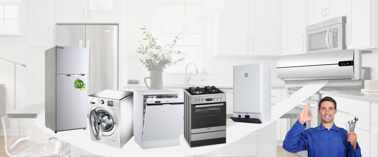 Başyayla Electrolux Servisi